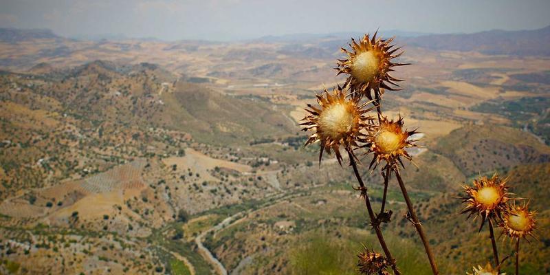 从培训咨询到管理赋能:三个企业案例揭示培训如何驱动组织变革