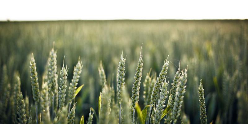 企业培训与管理咨询新范式：知识管理实践如何构建智慧资产与共享平台