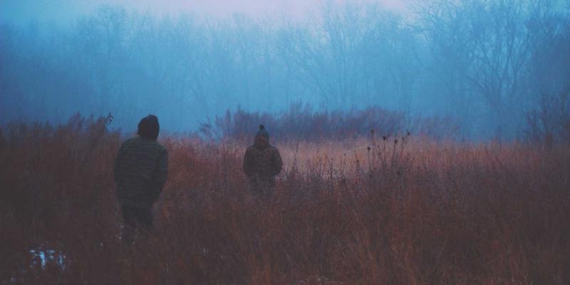 企业现金流管理与财务风险防控实操指南：管理咨询视角下的生存之道