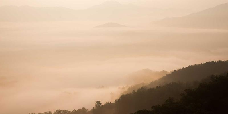 企业管理23:伦加尔管理咨询如何重塑现代企业运营模式