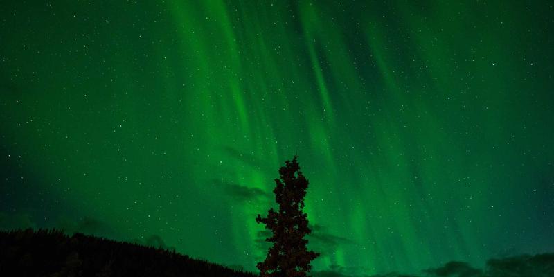 企业管理30：从培训到咨询的系统化升级路径