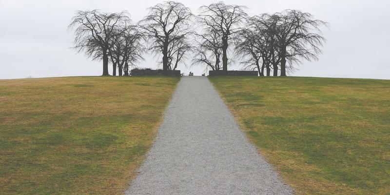 企业管理94：培训咨询如何赋能企业培训，伦加尔模型的价值解析