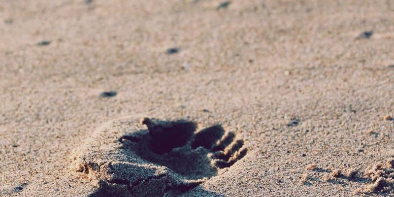 企业管理升级新路径：培训咨询与管理咨询如何协同赋能？