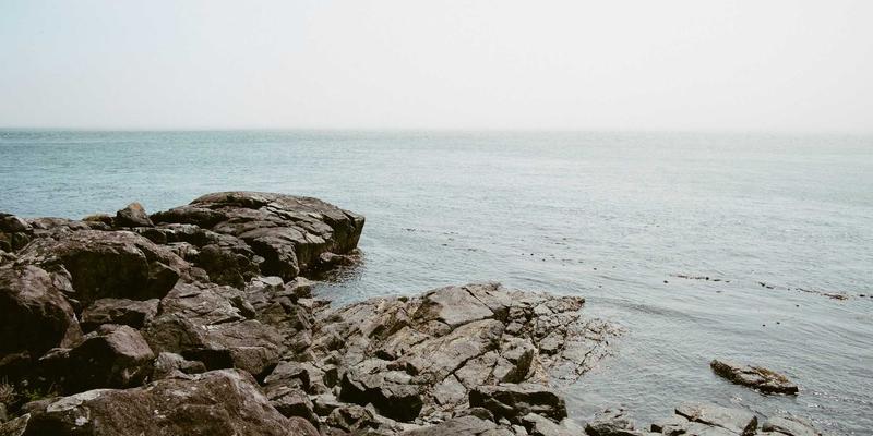 企业管理、咨询与培训：构建组织持续竞争力的三位一体战略