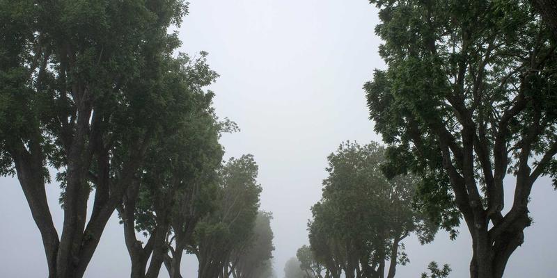 企业管理新范式：从传统考核到持续反馈的绩效体系革新