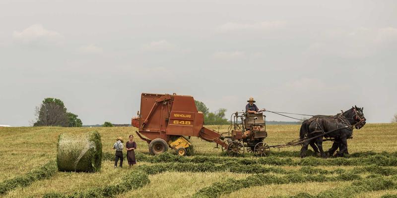 伦加尔管理咨询：解锁企业管理55的核心密码
