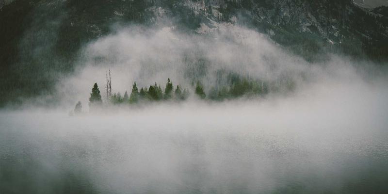 危机领导力：黑天鹅事件中企业高管的战略定力与沟通艺术 | 伦加尔企业管理培训咨询