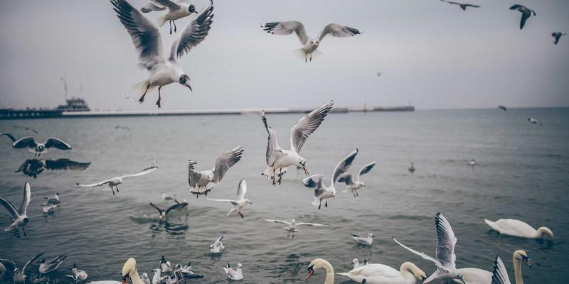 后疫情时代企业供应链韧性管理构建框架：管理咨询视角下的伦加尔实践