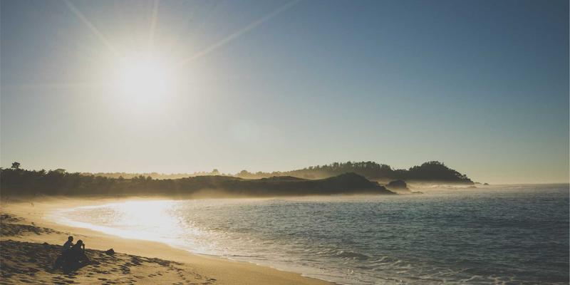 培训咨询与伦加尔模型：现代企业管理的双引擎驱动